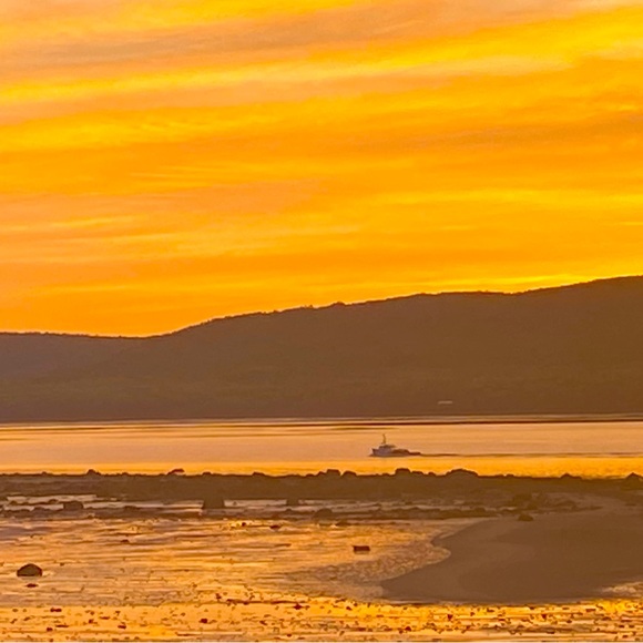 Meet your Posher, Amy - Picture 1 of 1